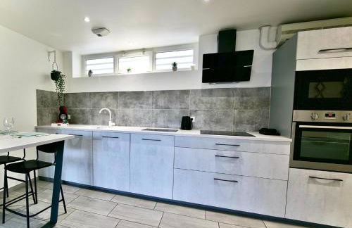 Saint-Étienne Bellevue Confort 1 - Foto 2