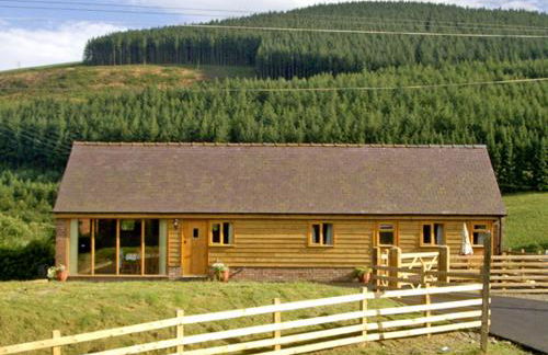 Happy Union Stables - Photo 7