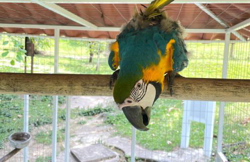 Pousada Sítio Mãe Natureza - Foto 5