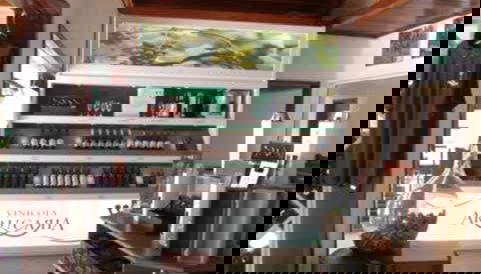 Araucária Winery Tour - Foto 5