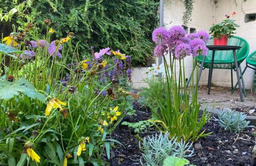 Boutique country hideaway ‘Jacks Cottage’ - Foto 8