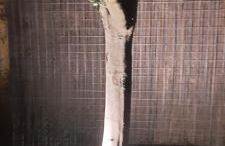 Sunrise Monsaraz Blue - Casa com 2 quartos Jardim - Foto 19