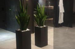 SUNSET SUITE SPA - Foto 51