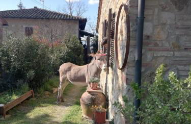 Agriturismo Grecinella - Foto 14