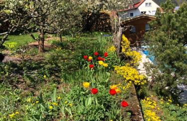 Ferienwohnungen Ries - Photo 6