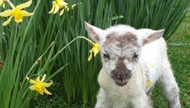 The Retreat - Foto 3