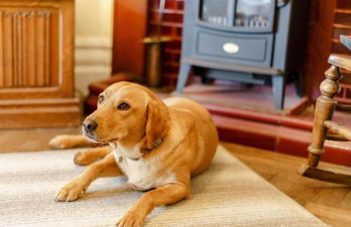 4 Bed in Hawkshead oc-llh42 - Foto 7