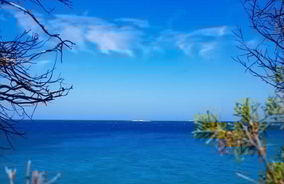 Independent Villa With Private Pool, Covered Parking - Photo 16