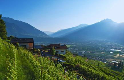 Hillepranter - Foto 5