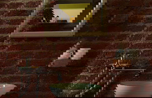 Villa Coola - Photo 25