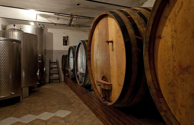 Vineyard cottage Ucman - Foto 8