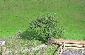 Emmerich`s Ferienwohnung - Foto 12