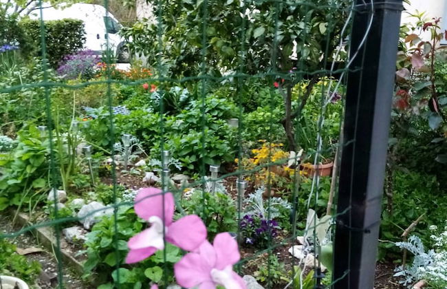 Apartments Vanja Škara Biograd - Foto 38