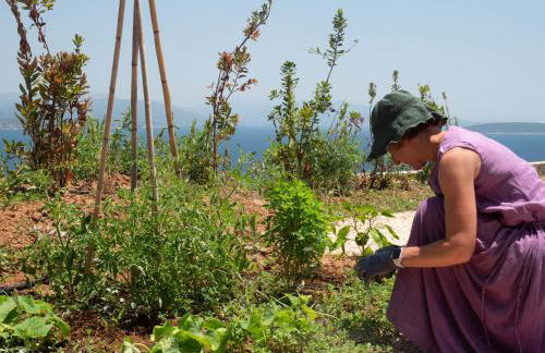 Apia Villas - Foto 34