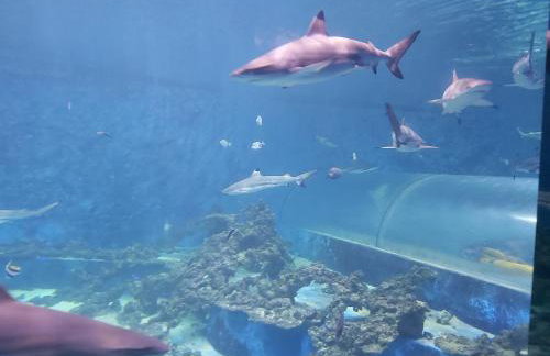 Apartament "DESTINATION" przy AQUAPARKu - Foto 32