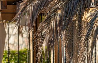 Sun and Sky - Foto 59