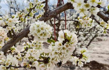 Casa Vikingo - Foto 24