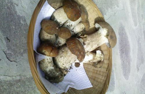 Appartamento Turistico Dal Morino - Foto 17