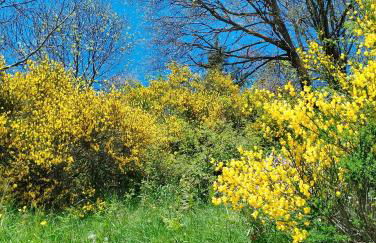 Ca l'ESTRELLA - Foto 44