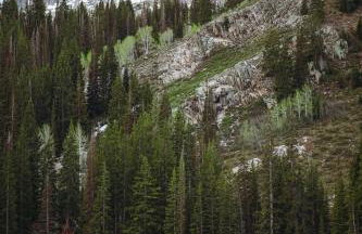 Big Cottonwood 2 Bedroom Brighton Chalet - Foto 2