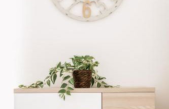 Botanic Apartments - Rooms - Foto 29