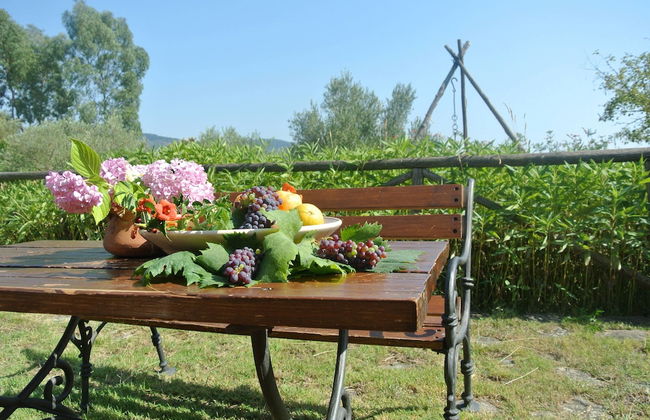 Il Forno Antico - Foto 15