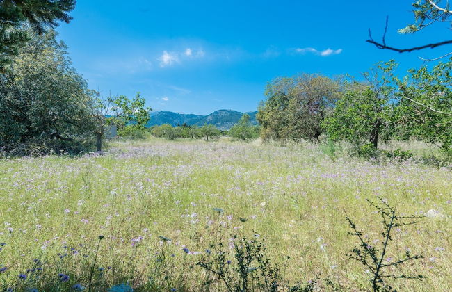 Villa in Campanet With Private Pool & Tennis - Foto 6
