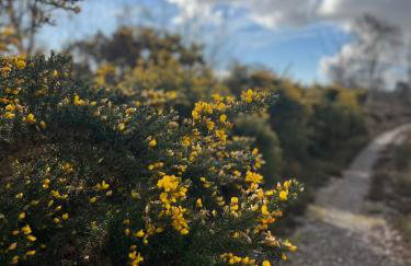 Charming Cottage nestled in the heart of a picturesque village - Foto 18