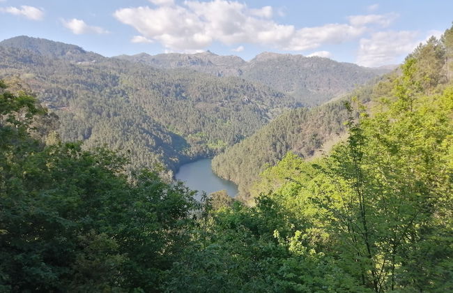 Geresnationalpark-cabin-6bed-balcony-pool-views - Foto 28