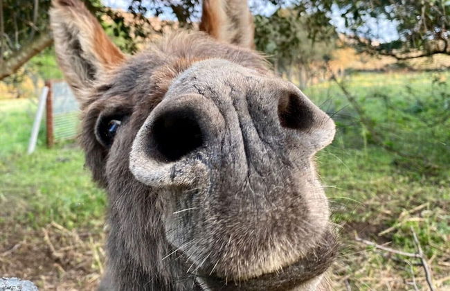 Agriturismo Lu Branu - Photo 36