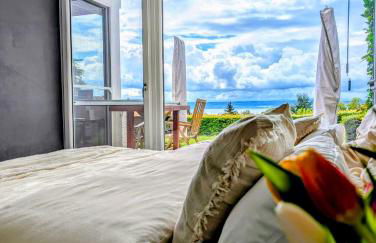 Bodensee - Palmen - Foto 6