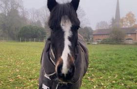 Church Farm Accommodation - Foto 35