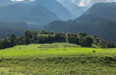 Appartamenti Pichler - Foto 56