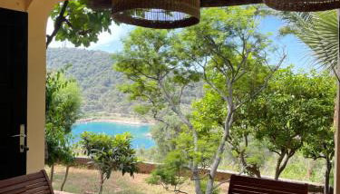 Apartment Monte Rosa - Foto 4, Garden, Garden view