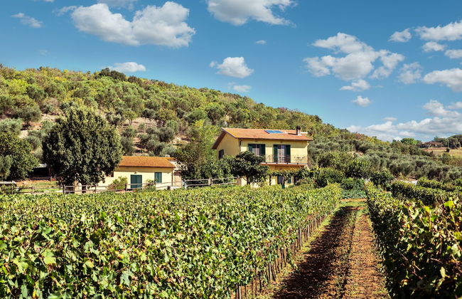 Poggiolivi Agriturismo Bio in Maremma - Photo 58