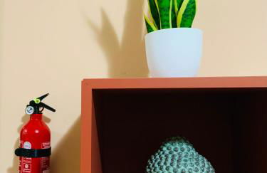 Garibaldi 26 - Photo 3