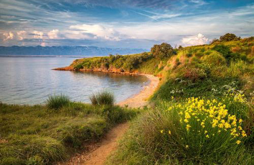 Apartment Vrsi -Mulo 2 - Foto 28