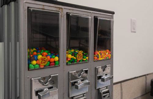 Foxes Den a Home in Ocean Pines - Foto 48