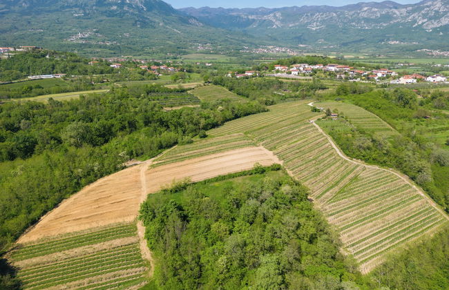 Tourist Farm Valic - Apartment and Winery - Photo 33