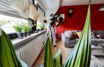 Domus Merian XII - Foto 32