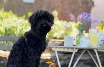 Chapter Cottage, Cheddleton Nr Alton Towers, Peak District, Foxtail Barns, the Ashes - Photo 40