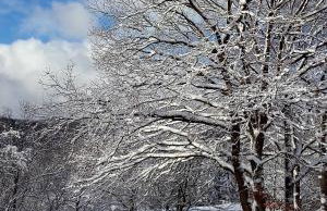 Sauerland Alm Winterberg 5 - Photo 15