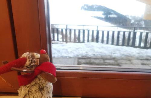 Il giardino sulle Piste - Foto 50