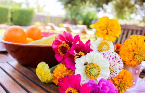 Casa Jazmín - Foto 12