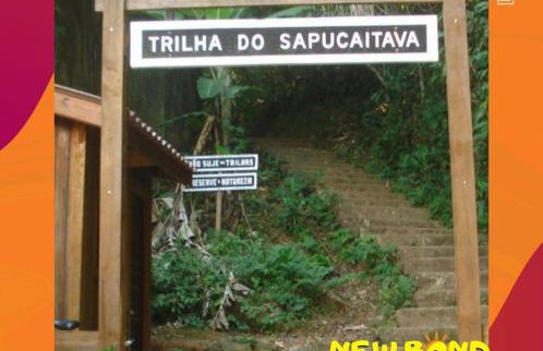 Casa térrea com 2 quartos em Itanhaem - Foto 52