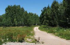 Ferienappartement Grüner Elch - Foto 23