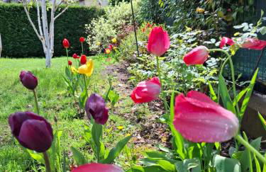 Ca' dei Molini - Foto 17