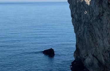 La Paserina de Pría - Foto 18