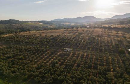 Agriturismo Podere L'Agave - Photo 46