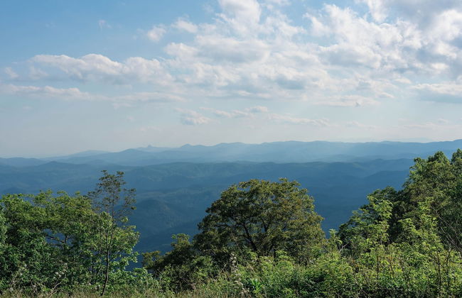 Dogwood at Main & Pine - Foto 10